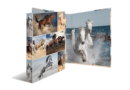 Classeur avec des chevaux dessus de HERMA
