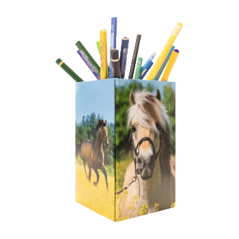 Translation: "Porte-stylo motif cheval