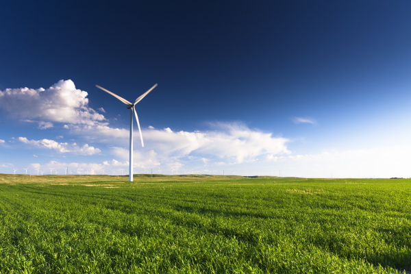 Prairie avec éolienne en arrière-plan