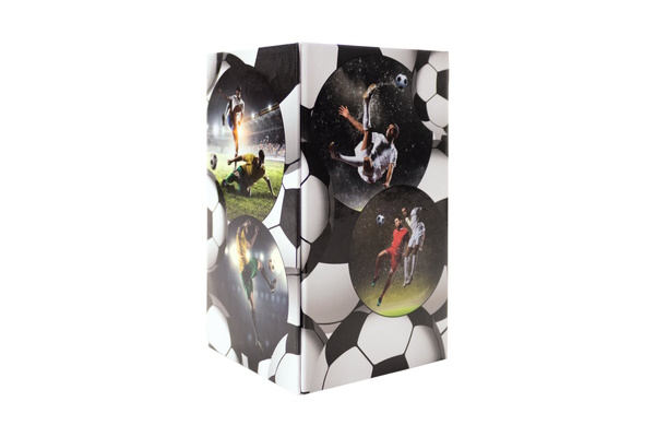Illustration d'un porte-stylos sur le thème du football