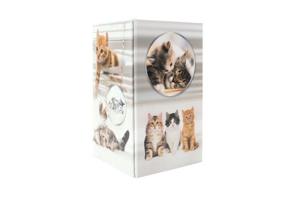 Translation: "Illustration de porte-stylo motif chat