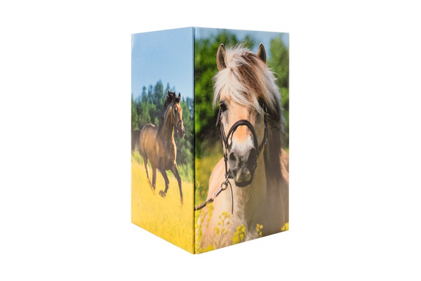 Illustration de porte-stylo motif chevaux