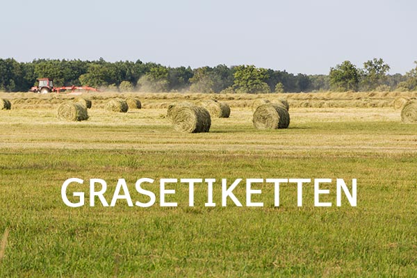 Étiquettes d'herbe - Prairie avec des balles de foin