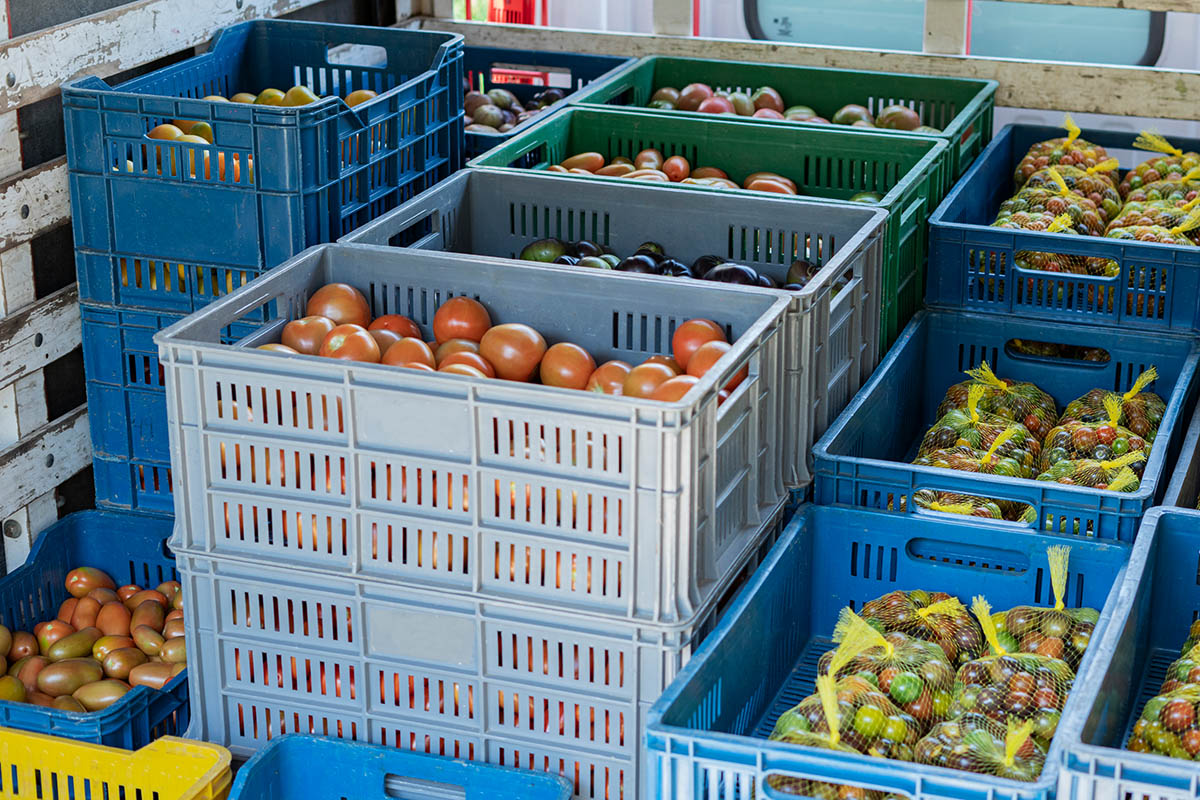 Conteneurs empilables réutilisables colorés avec des légumes, en cours de transport, idéaux à marquer avec des étiquettes à effacer.