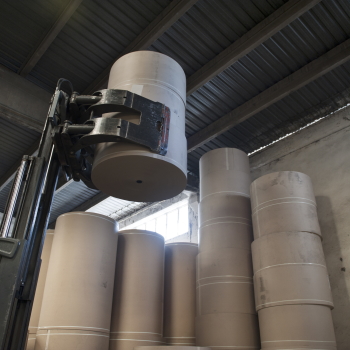 Étiquettes durables : Production de papier à base de silphie