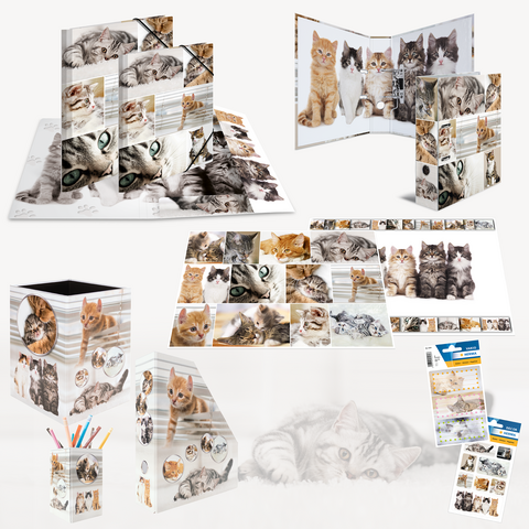 Une collection de motifs de chats sur divers articles de bureau, y compris un classeur, un porte-stylo et un bloc-notes.