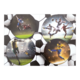 Vier Fußballspieler in Aktion, die verschiedene Techniken und Spielszenen zeigen, umgeben von einem Hintergrund aus Fußballen.