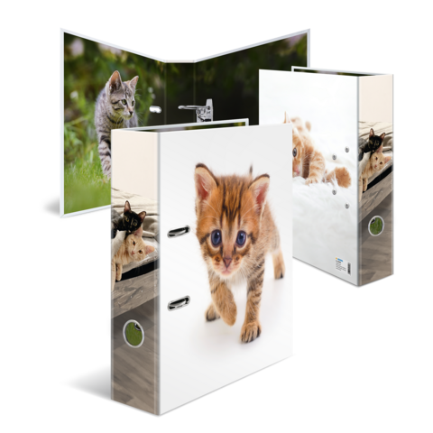 Classeur en plastique avec des images de chats, l'un avec un chaton qui court et l'autre avec un chat à l'extérieur.