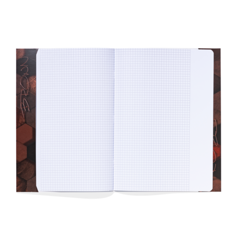 Leeres kariertes Notizbuch mit zwei offenen Seiten, bereit zum Schreiben oder Zeichnen.