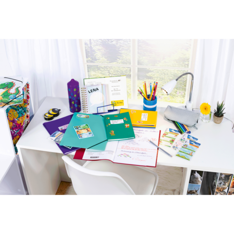 Ein Schreibtisch mit bunten Ordnern, Schreibmaterialien, einer Lampe und einer kleinen Blume, umgeben von Tageslicht.