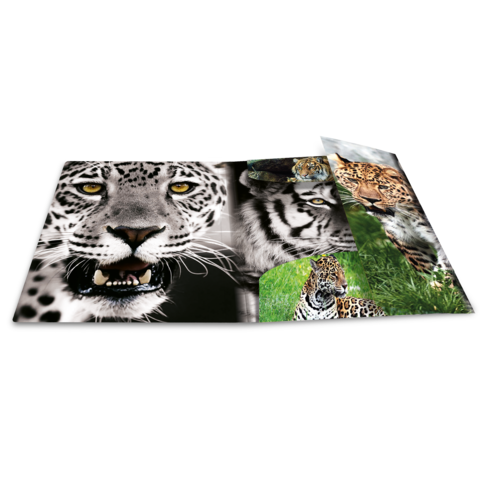 Ein aufgeschlagenes Buch mit Bildern von verschiedenen Großkatzen, darunter ein Schneeleopard, ein Tiger und ein Leopard.