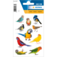 Bunte Vogelsticker in verschiedenen Arten und Farben, angeordnet auf einem weißen Hintergrund.