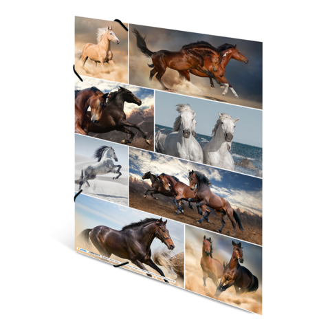 Verschiedene Pferde in dynamischen Posen, darunter Galopp, Sprünge und Interaktionen, auf unterschiedlichen Hintergründen.