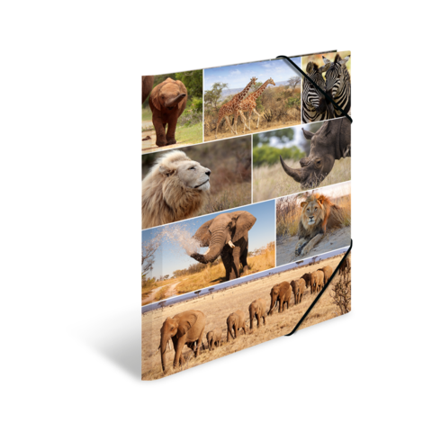 Eine Collage mit verschiedenen Tieren, darunter Elefanten, Löwen, Giraffen, Nashörner und Zebras, in einer natürlichen Umgebung.