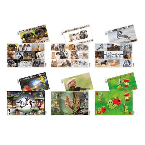 Eine Sammlung von Bildern, die verschiedene Tiere, Natur und animierte Charaktere zeigen, darunter Hunde, Katzen, Vögel und bunte Illustrationen.