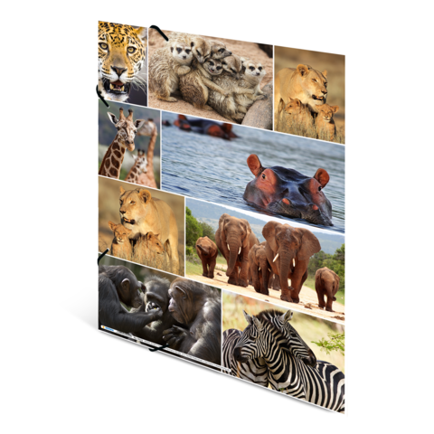 Eine Collage mit verschiedenen Tieren, darunter Löwen, Giraffen, Elefanten, Flusspferde, Zebras und Gorillas in unterschiedlichen Szenen.