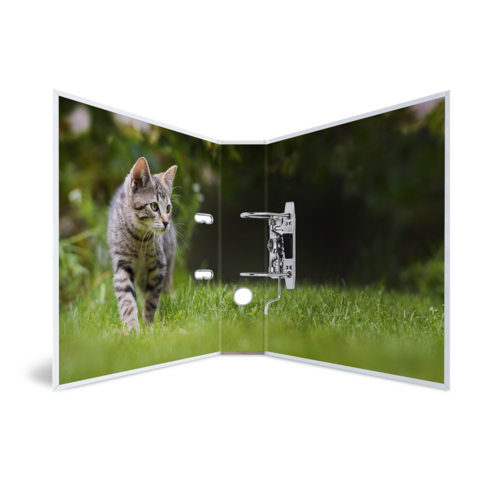 Un chat gris traverse une pelouse verte, tandis qu'il se tient devant une porte ouverte.