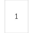 Blank template for Illustrator A3