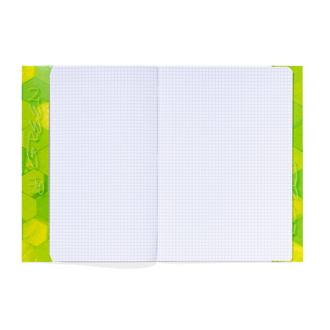 Ein offenes kariertes Notizbuch mit grünem Rand und leeren Seiten.