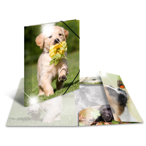 Ein Welpe trägt eine Blume im Mund und läuft über eine Wiese. Um ihn herum sind mehrere Fotos von verschiedenen Hunden angeordnet.