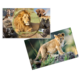Ein Löwe sitzt majestätisch im Vordergrund, während ein junger Löwe auf einem Felsen steht. Im Hintergrund sind weitere Wildtiere zu sehen.