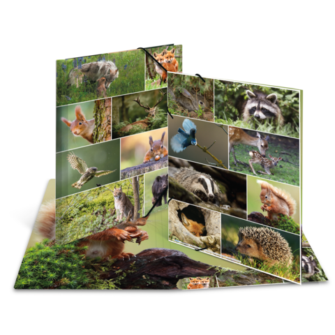 Ein aufgeschlagenes Buch mit Fotos von verschiedenen Wildtieren, darunter Eichhörnchen, Waschbären, Vögel und andere Tiere in natürlichen Umgebungen.