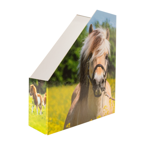 Eine Box mit einem Bild eines Pferdes auf einer Wiese, umgeben von Blumen und einem weiteren Pferd im Hintergrund.