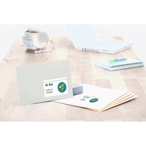 Ein Briefumschlag und eine Karte mit dem Namen "Mr. Bird" sowie einem grünen Logo, auf einem Holztisch neben einem Laptop und Notizbuch.