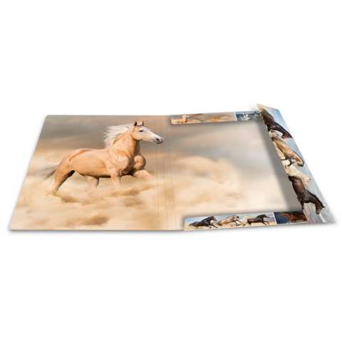 Ein aufgeschlagenes Buch mit Bildern von Pferden, darunter ein auffälliges, helles Pferd, das in einer sandigen Umgebung steht.