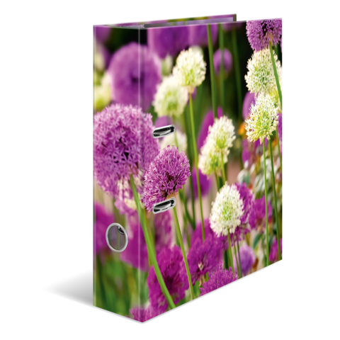 Bunte Blüten in lila und weiß, die in einem Garten wachsen, mit grünen Stängeln und einem verschwommenen Hintergrund.