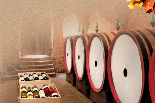 Translation: "Cave à vin avec des fûts de vin