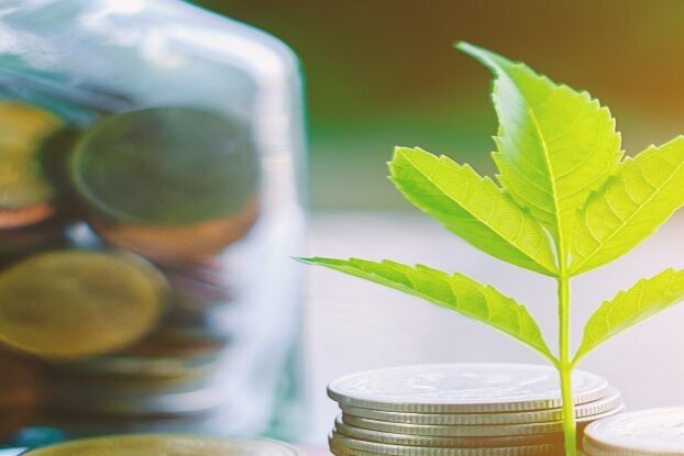 Pièces avec branche, motif d'image pour les étiquettes HERMA Thinrange, format paysage.