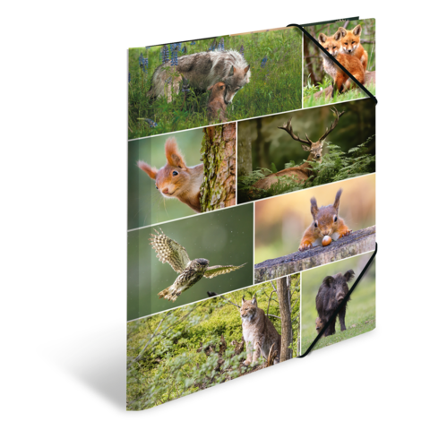 Eine Collage mit verschiedenen Wildtieren, darunter ein Reh, Eichhörnchen, Eule und ein Wolf, umgeben von natürlicher Vegetation.