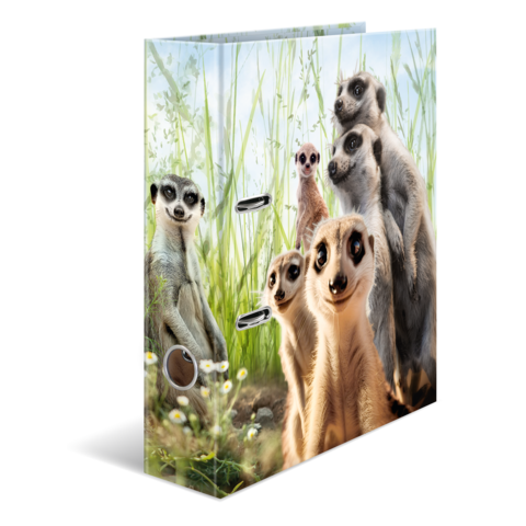 Eine Gruppe von Erdmännchen steht in einer grünen Umgebung mit Gras und Blumen. Einige Erdmännchen schauen direkt in die Kamera.