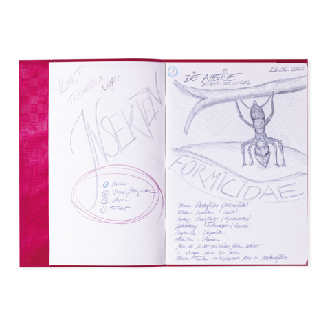 Skizze einer Ameise mit dem Titel "Formicidae" und Notizen zu Insekten. Datum: 22.02.2023. Enthält Kategorien wie "Art" und "Farbe".