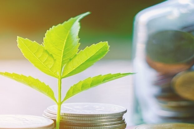 Pièces avec branche, motif d'image pour 'Étiquetage économique', format paysage