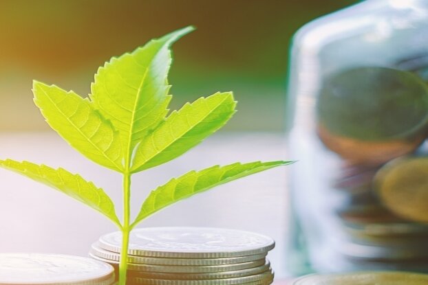 Pièces avec branche, motif d'image pour 'Étiquetage économique', format paysage
