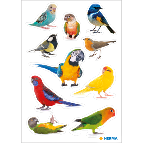 Eine Sammlung von bunten Vogelstickern, darunter Wellensittiche, Papageien und andere Arten, auf einem weißen Hintergrund.