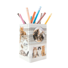 Ein Stiftbehälter mit Katzenmotiven, gefüllt mit bunten Stiften in verschiedenen Farben.