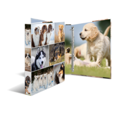 Ein Ordner mit Fotos von verschiedenen Hunderassen, darunter Welpen und ausgewachsene Hunde, in unterschiedlichen Posen und Umgebungen.