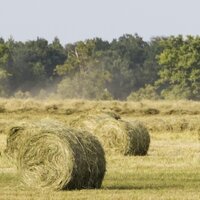 Étiquettes durables : Étiquettes en herbe - Prairie avec des balles de foin