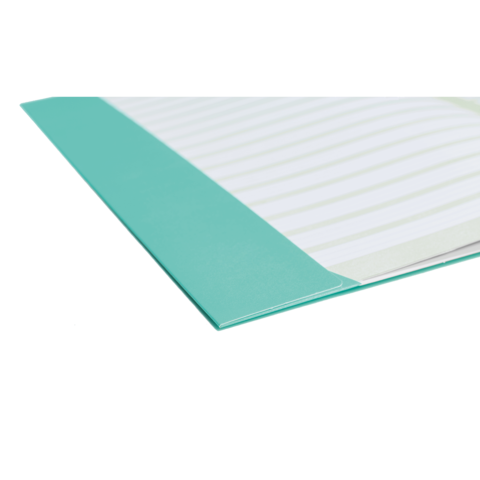 Ein mintgrünes Notizbuch mit linierten Seiten, teilweise geöffnet, zeigt die Struktur der Seiten und den farbigen Einband.