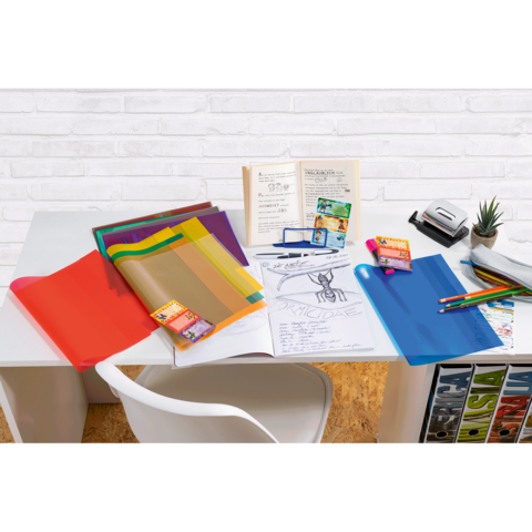 Bunte Ordner und Schreibmaterialien liegen auf einem Tisch, neben einem Notizbuch und einer Pflanze.