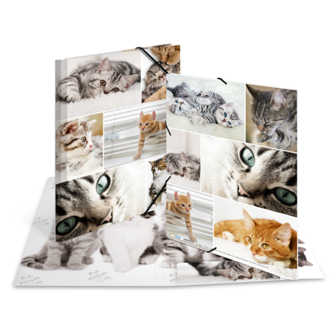 Ein aufklappbares Fotobuch mit verschiedenen Bildern von Katzen, darunter spielende, ruhende und nahaufgenommene Katzenporträts.