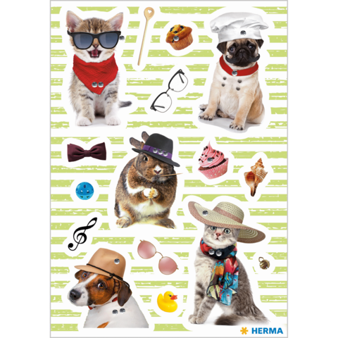 Des chats et des chiens dans différentes tenues amusantes et accessoires, y compris des lunettes de soleil, des chapeaux et des écharpes, sur un fond rayé.