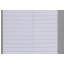 Offenes Notizbuch mit leeren, linierten Seiten. Die Seiten sind hellblau und die Einbandfarbe ist grau.