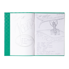 Notizen in einem karierten Heft mit einem Skizze einer Ameise und verschiedenen Stichpunkten zu Themen wie "Ameisen" und "Formicidae".