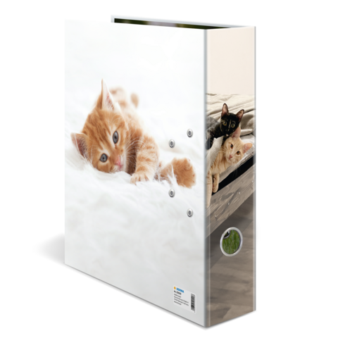 Un dossier avec une image de deux chats, un orange et un noir, allongés sur un fond blanc.