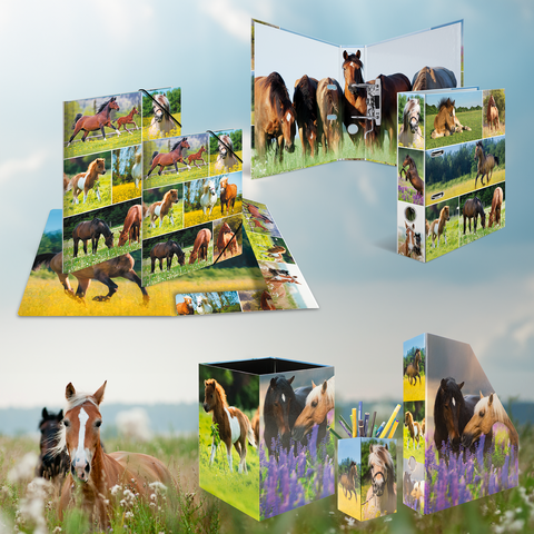 Texte : "Différents produits avec des motifs de chevaux, y compris un livre pliant, une boîte de rangement et un porte-stylo, entourés d'une prairie verte.