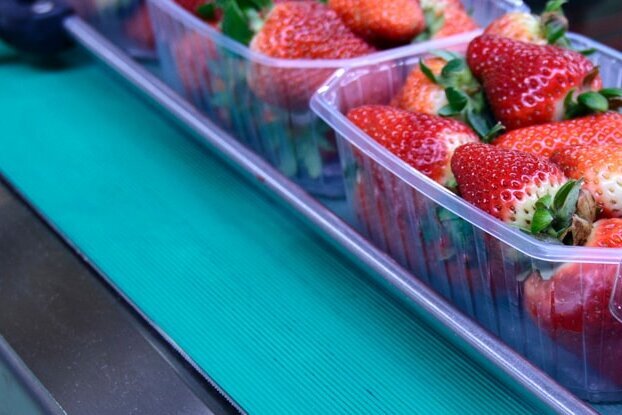 Fraises dans une usine d'emballage dans le secteur alimentaire, format paysage.